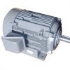 Motor động cơ điện 3 pha, 1 pha HITACHI - anh 1 Motor động cơ điện 3 pha, 1 pha HITACHI - anh 1